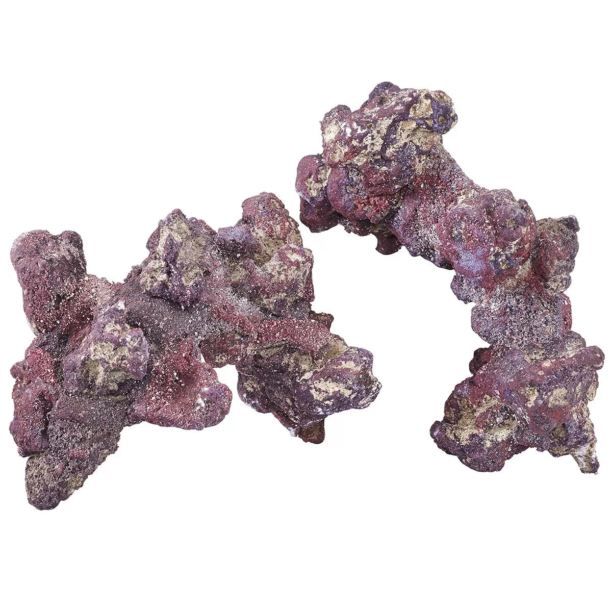 Purple Life Rock Nano Reef Kit - Caribsea