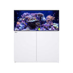 REEFER MAX 425 G3+ (114.4 Gal) - Red Sea White stand