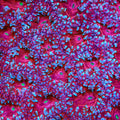 Sweet Tart Blastomussa Coral