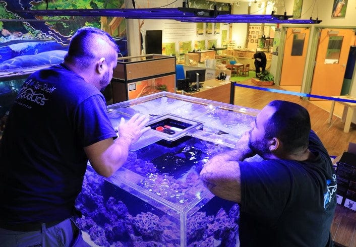 Top Shelf Aquatics technicians performing aquarium maintenance in Central Florida