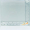 Randall's Goby Fish