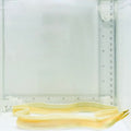 Ghost Ribbon Eel