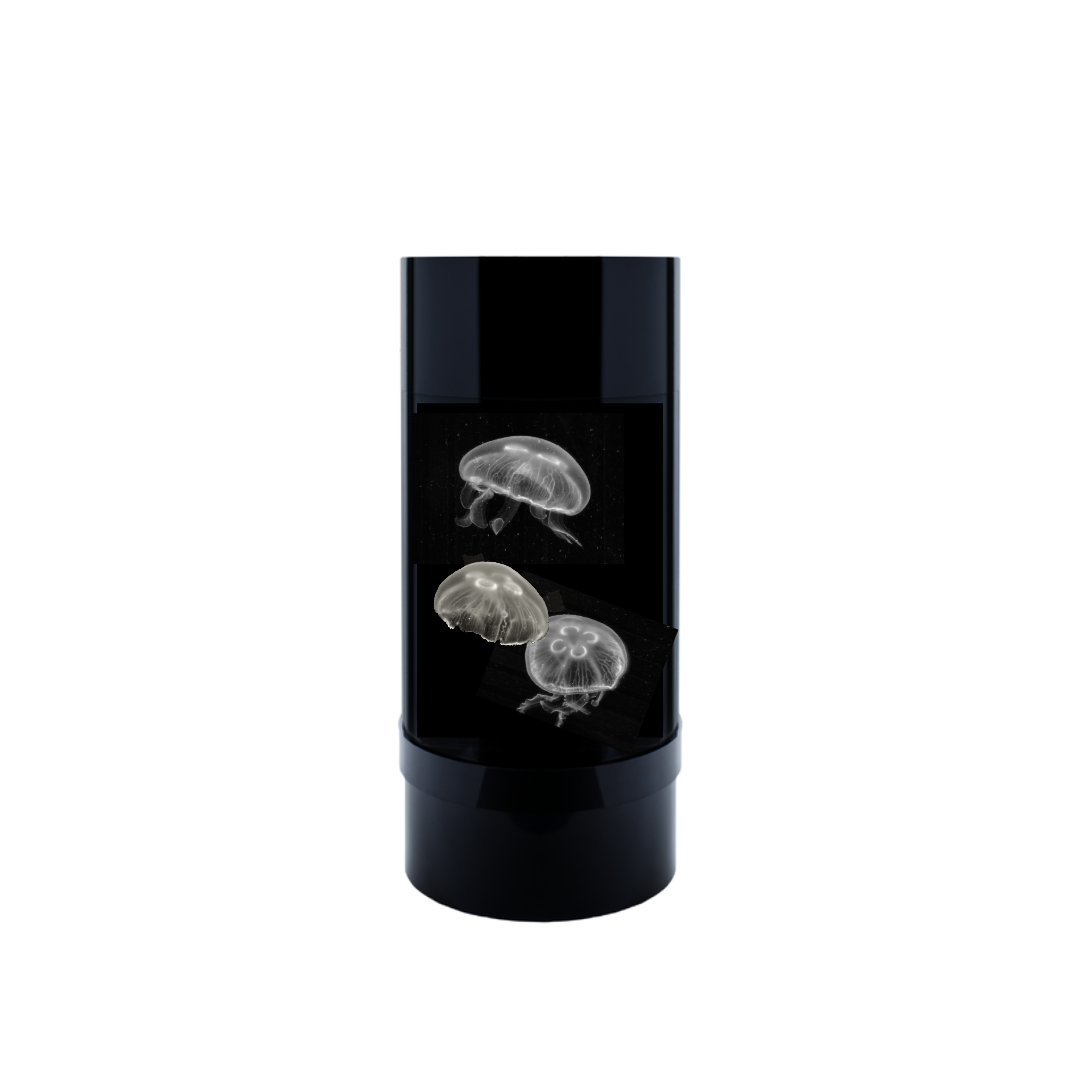 Jelly Cylinder 5 (Black) - 5 Gallon Saltwater Tank (Aquarium only) - Jellyfish Art