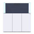 OPUS G2 440 Pro-Line - White - Nyos