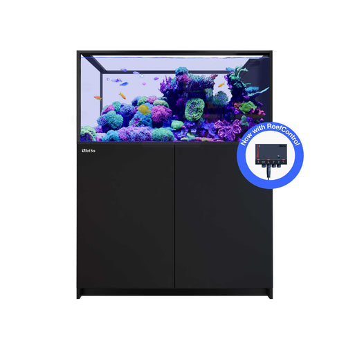 REEFER Peninsula 500 G3+ (137.1 Gal) - Red Sea Black stand