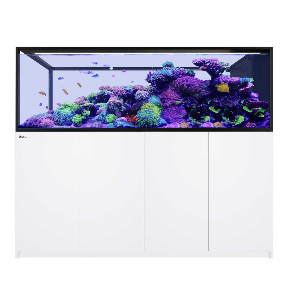 REEFER Peninsula S-950 G3+ (250.2 Gal) - Red Sea White stand