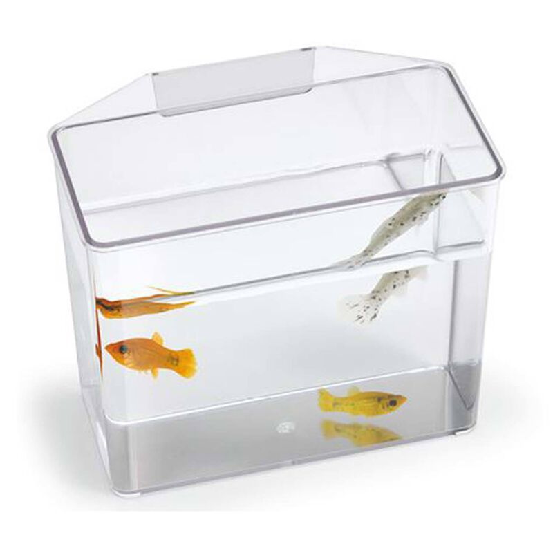 Break Resistant Specimen Container - Large - Lee's - Lee's Aquarium & Pet Products