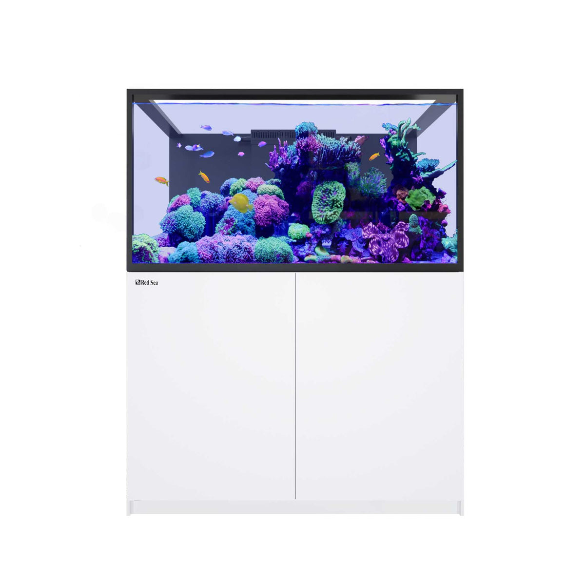 REEFER MAX S-550 G3+ (145.1 Gal) - Red Sea White stand