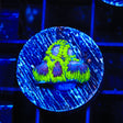 TSA Lunar Favia Coral