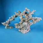 Large Custom Dry Live Rock Aquascape Set #58AB