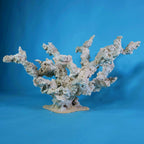 Custom Dry Live Rock Extreme Branch Aquascape #57