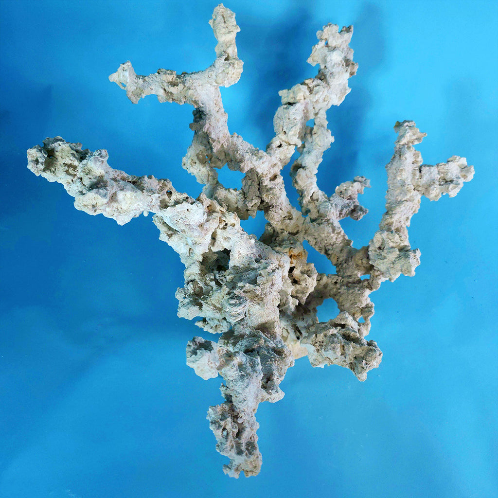 Custom Dry Live Rock Extreme Branch Aquascape #57