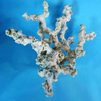 Custom Dry Live Rock Extreme Branch Aquascape #57