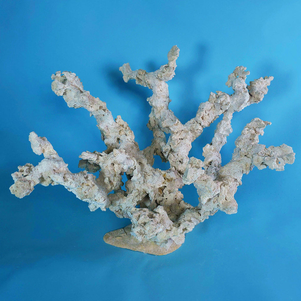 Custom Dry Live Rock Extreme Branch Aquascape #57