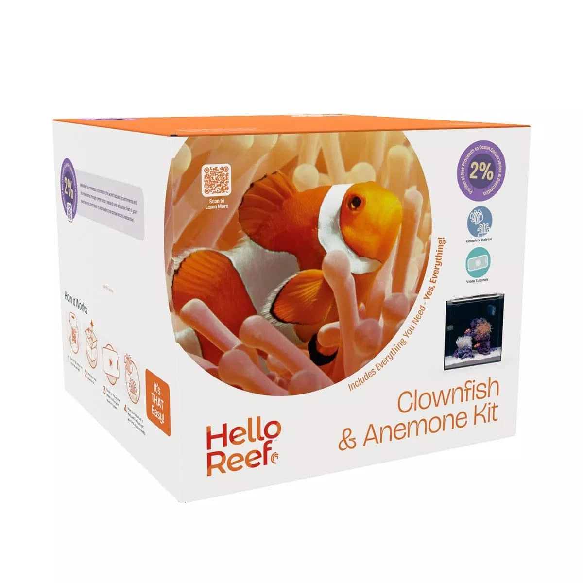 Clownfish & Anemone Aquarium Kit - Hello Reef