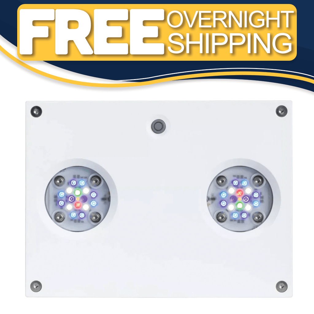 Hydra 32 HD LED Reef Light - White - Aqua Illumination