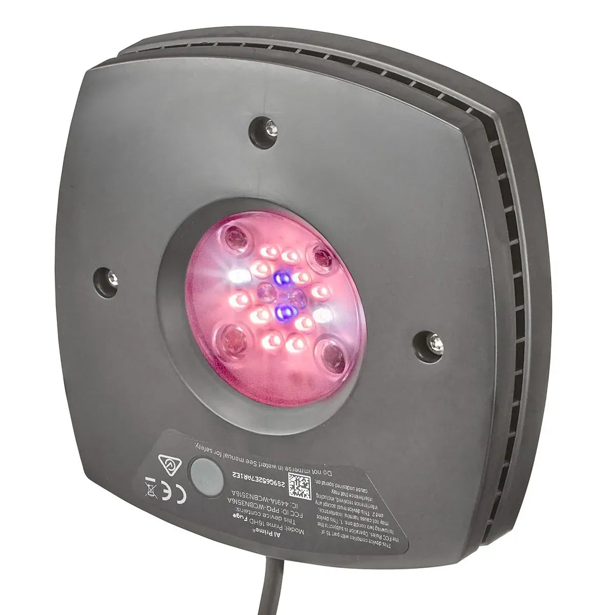 Prime 16 LED Fuge Light - Black Body - Aqua Illumination
