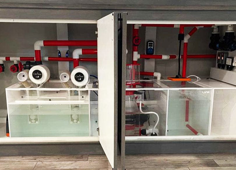 Aquarium sump with protein skimmer and filtration serviced by Top Shelf Aquatics