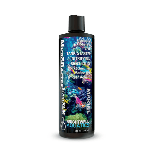 MicroBacter Start XLM - Brightwell Aquatics