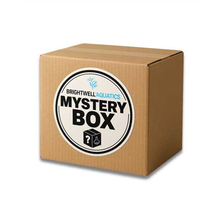 Mystery Box - Saltwater - Brightwell Aquatics
