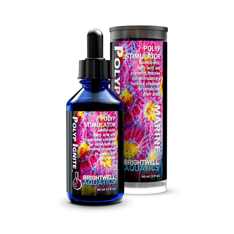 Polyp Ignite - Brightewell