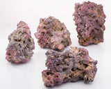 Purple Life Rock - Base Rock - 40Lbs Box- CaribSea