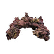 Purple Life Rock - Arches - Per Pound - CaribSea
