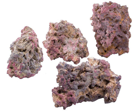 Purple Life Rock - Base Rock - Per Pond - CaribSea