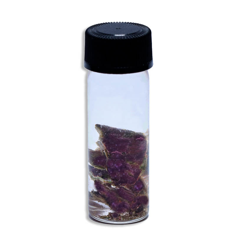 Coralline Algae in a Bottle, Marine Aquarium Supplies
