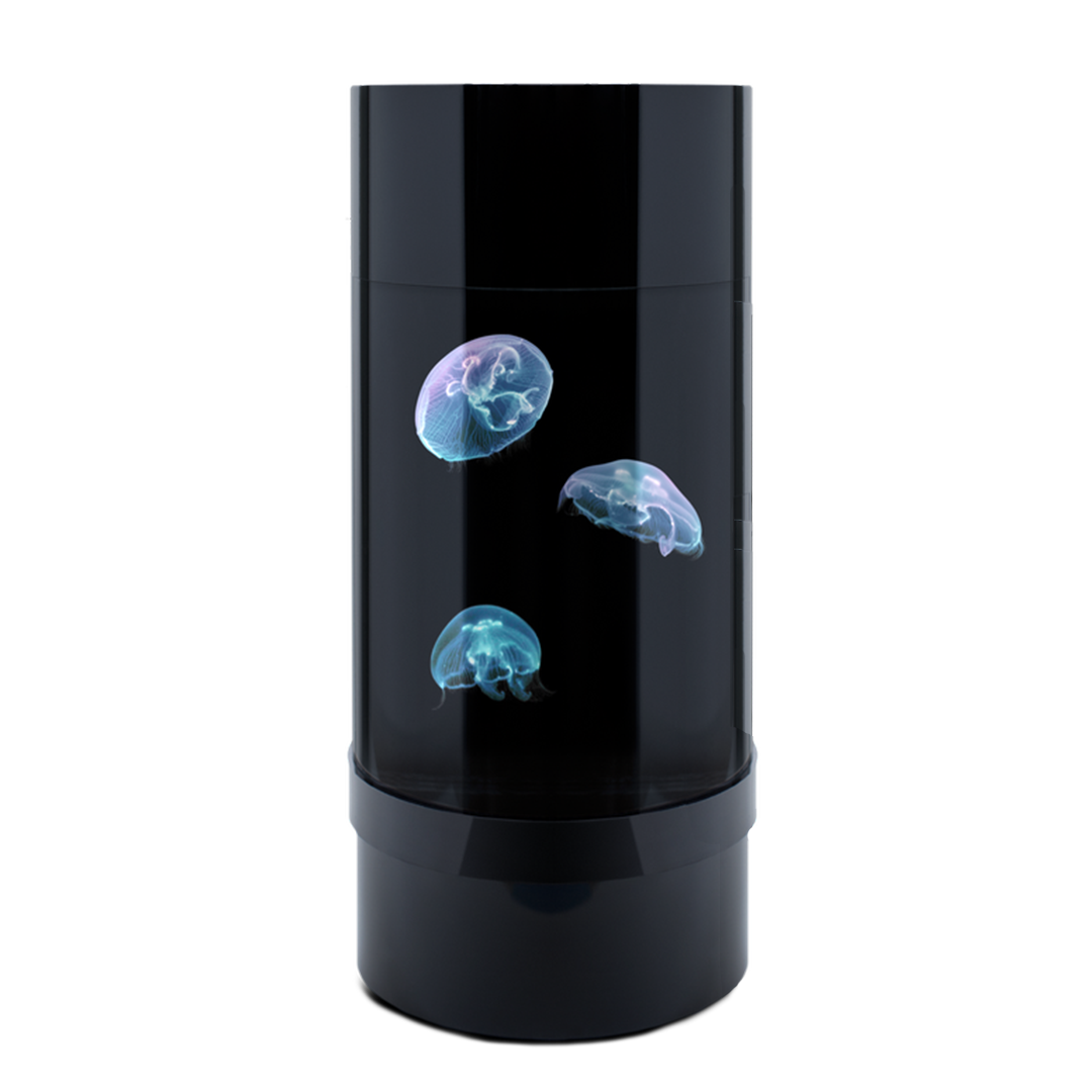 Jelly Cylinder 5 (Black) - 5 Gallon Saltwater Tank (Aquarium only) - Jellyfish Art