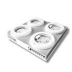 Illumagic X4 Reef Pro - Limited Addition - Dalua White