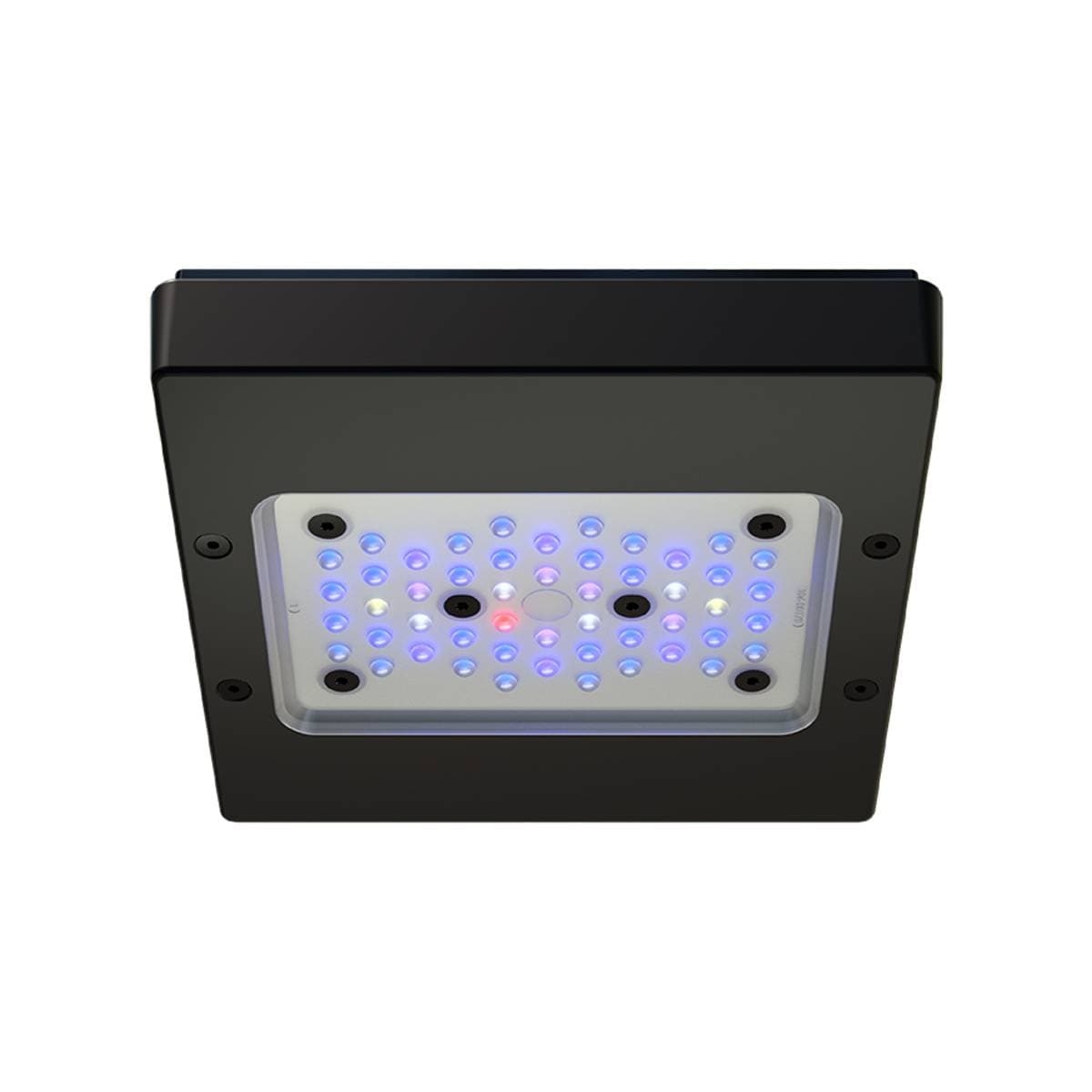 Radion XR15 G6 Blue LED Light Fixture - EcoTech Marine – Top Shelf