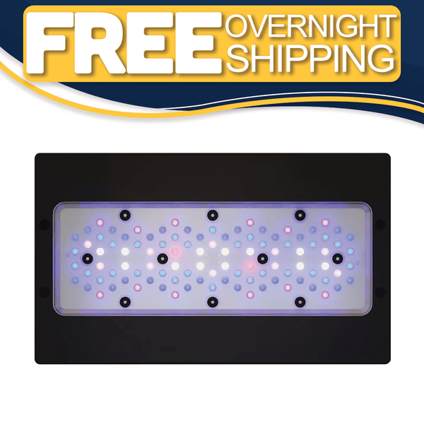 Radion XR30 G6 Blue LED Light Fixture - EcoTech Marine – Top