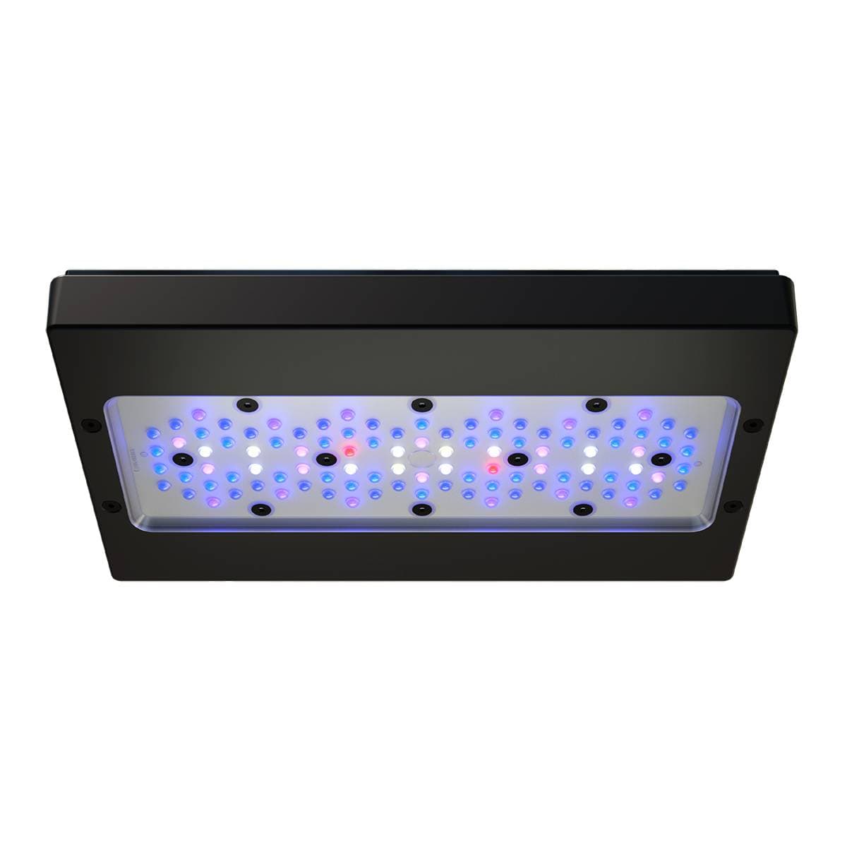 Radion XR30 G6 Blue LED Light Fixture - EcoTech Marine – Top Shelf