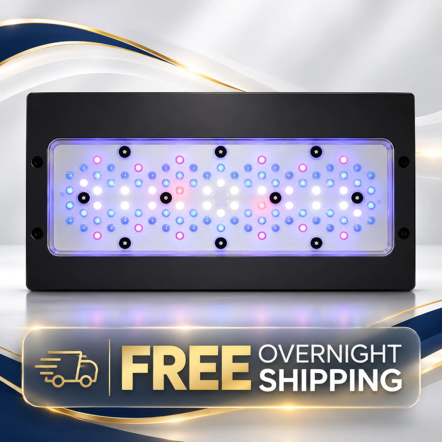 Radion XR30 G6 Blue LED Light Fixture - EcoTech Marine