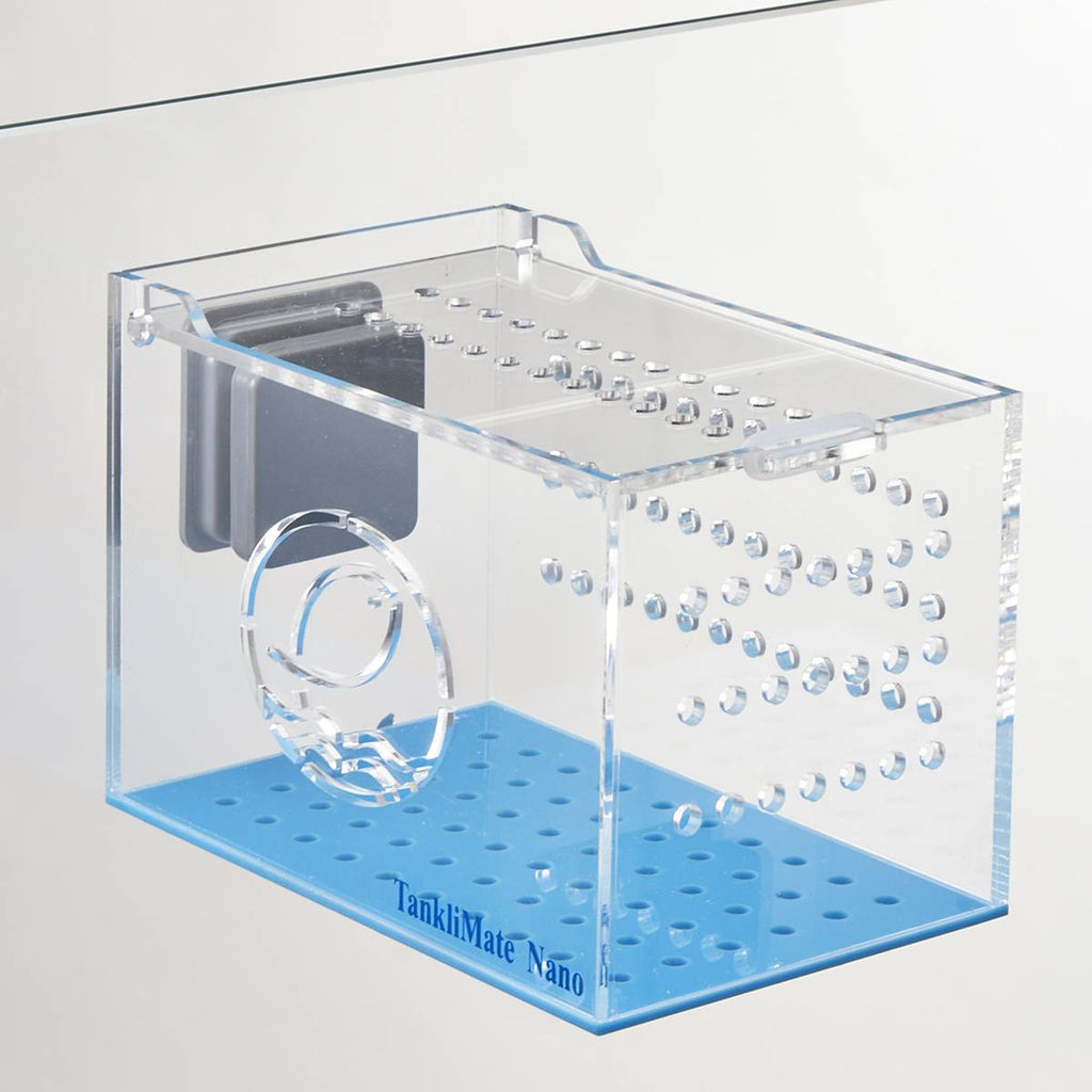 big fish acclimation box Eshopps TankliMate Fish Acclimation Box Mega