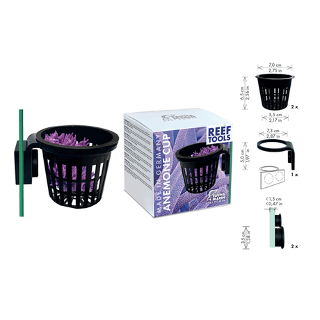 Anemone Cup - Fauna Marin