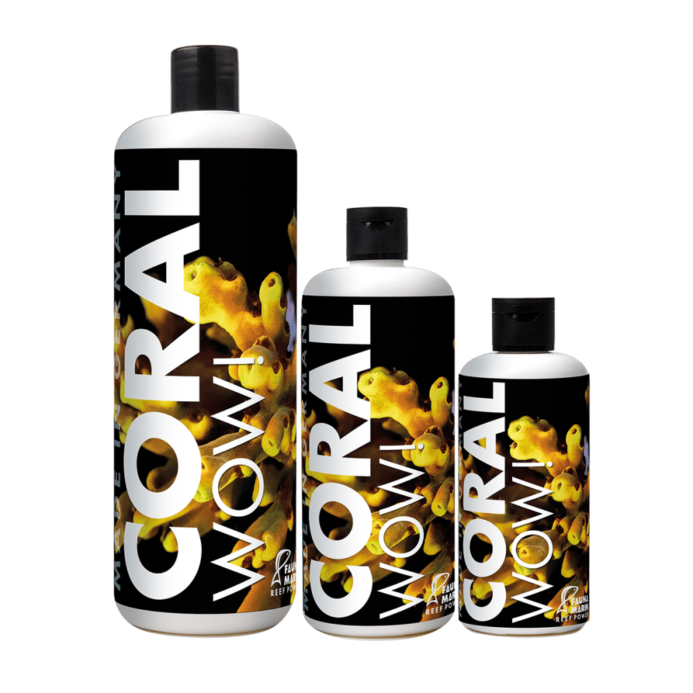 CORAL WOW! - Fauna Marin