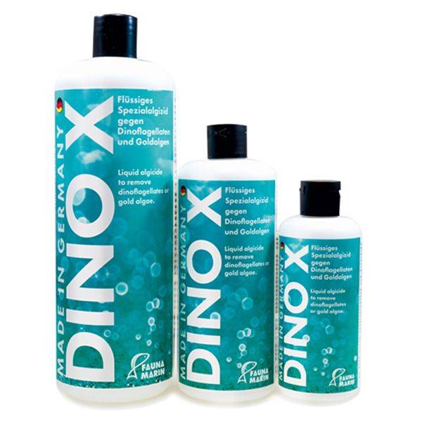 DINO X (Algae X) - Fauna Marin