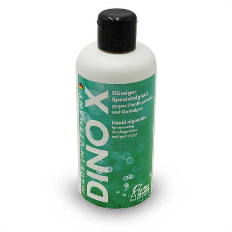 DINO X (Algae X) - Fauna Marin