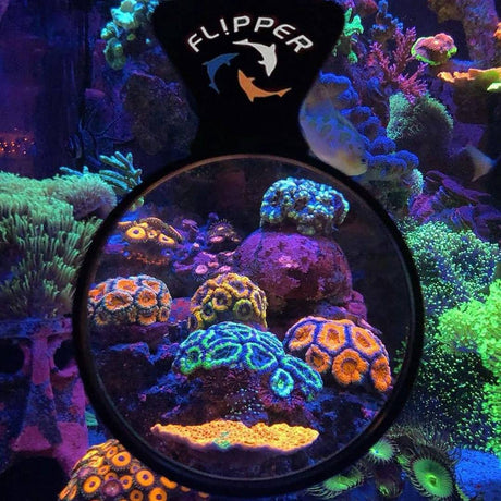 Deepsee Nano Magnified Magnetic Viewer 3" - Flipper