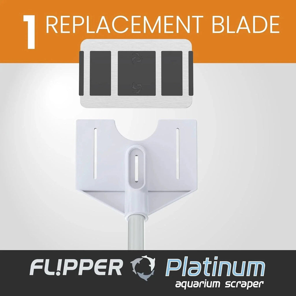 Platinum Credit Card Aquarium Algae Scraper Stainless Steel Blades - Flipper