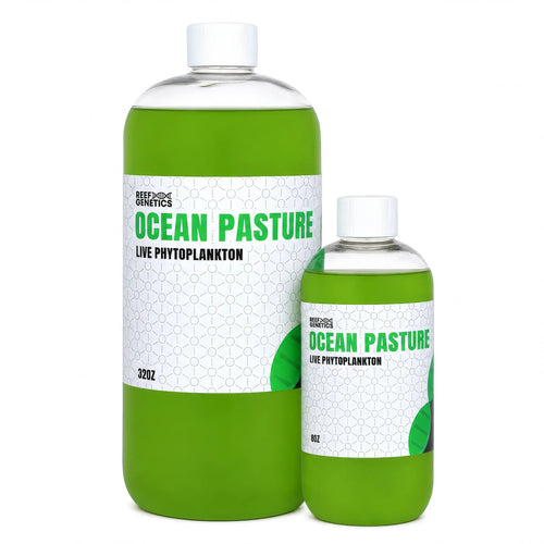 Ocean Pastures Live Green Phytoplankton - Reef Genetics