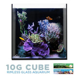 10 Gallon Cube AIO Aquarium - IceCap