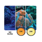 Clip-on Photo Lens Kit - IceCap