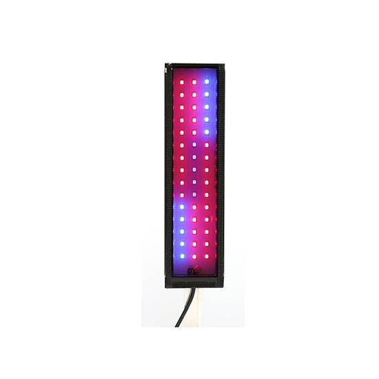 Auqa Gadget ChaetoMax 2-n-1 Refugium LED - Innovative Marine
