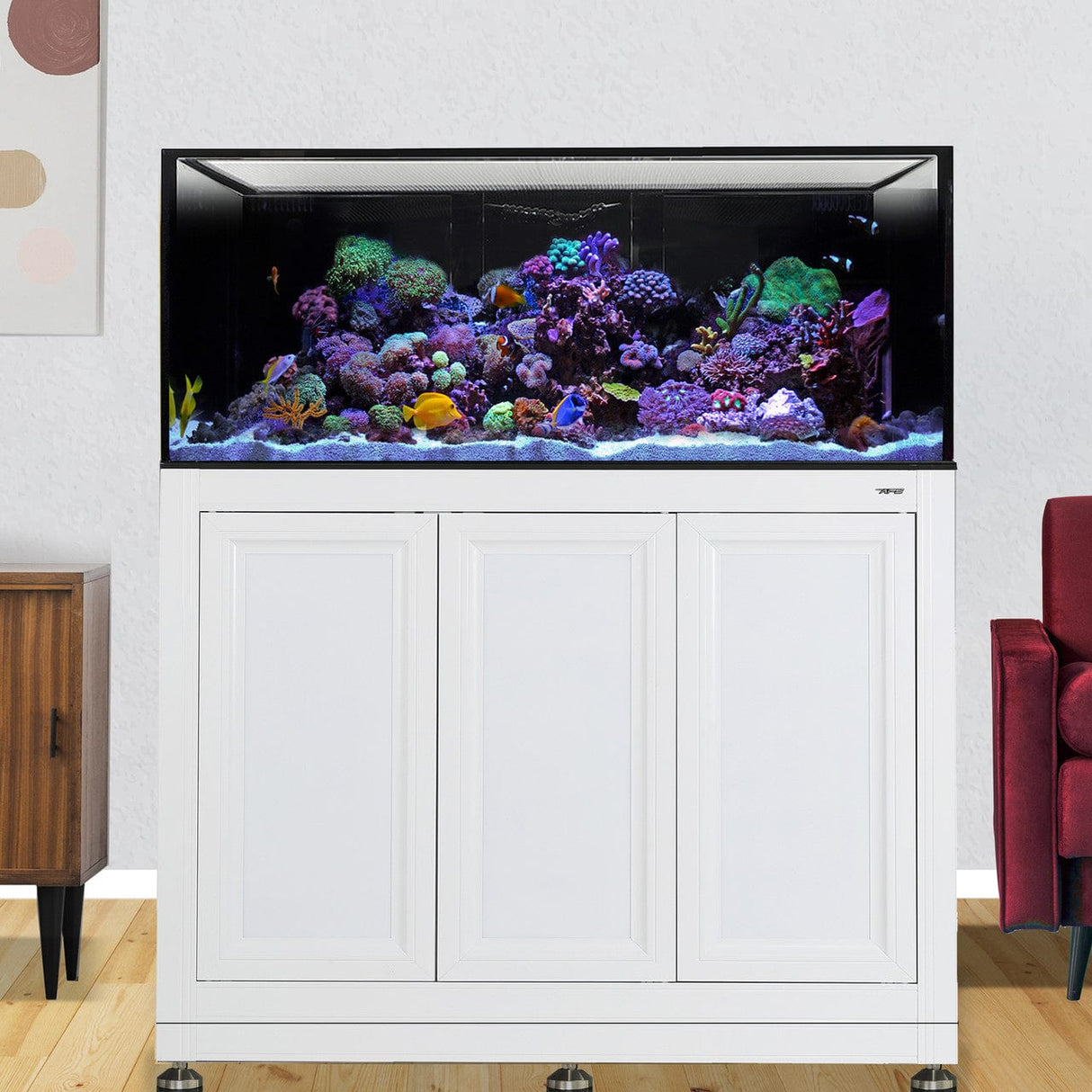 100 Gallon INT Complete Reef Aquarium - Innovative Marine