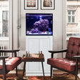 40 Gallon Fusion Pro 2 AIO Aquarium - Innovative Marine White