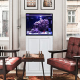 40 Gallon Fusion Pro 2 AIO Aquarium - Innovative Marine White