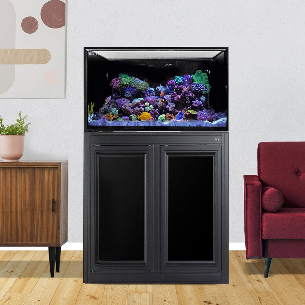 75 Gallon INT Complete Reef Aquarium - Innovative Marine